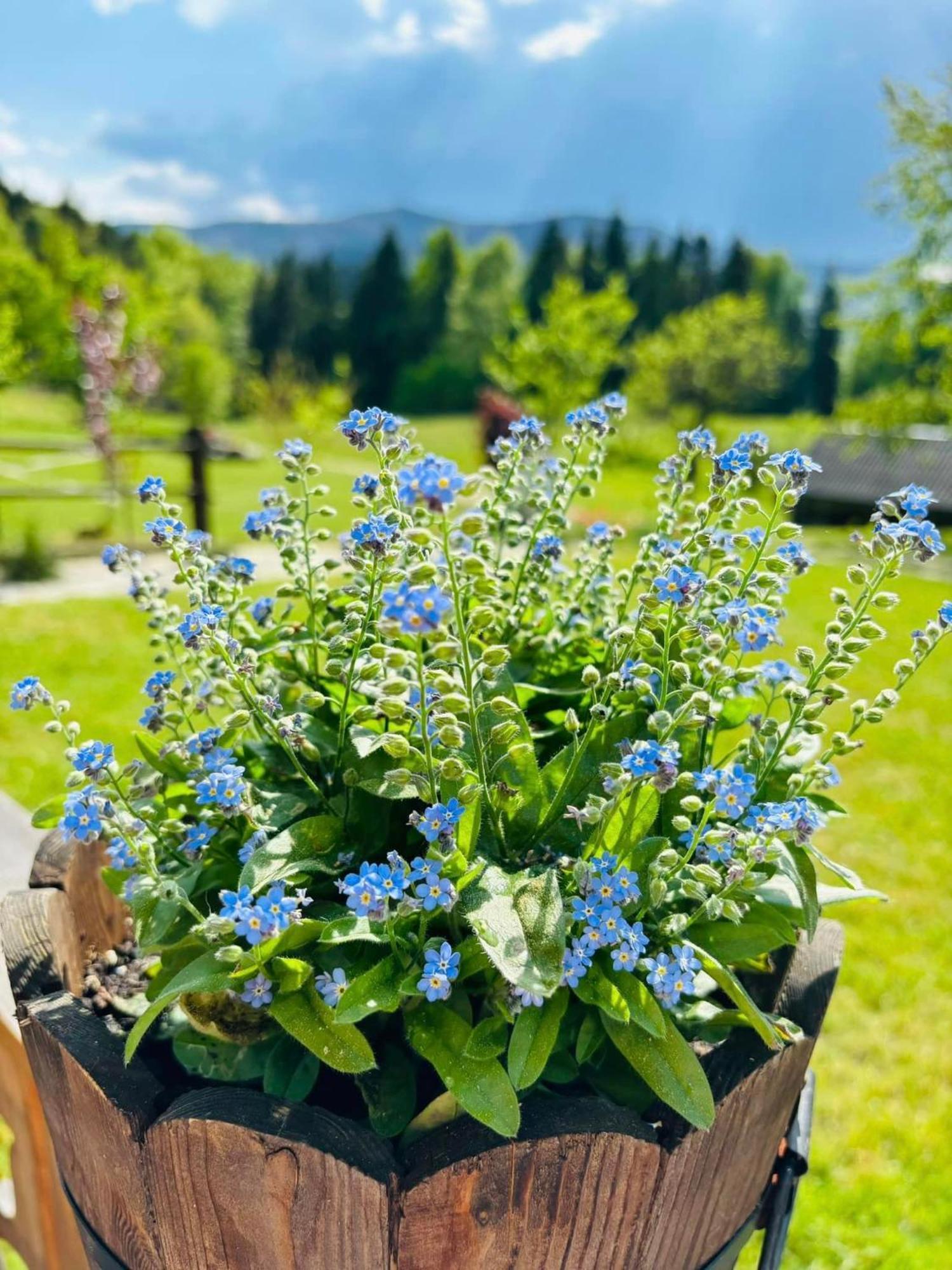Chalet Oskarowka W Gorach Na Odludziu Z Jacuzzi I Sauna - Kominek I Netflix